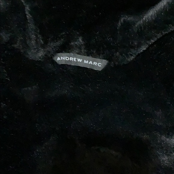 Jacket - Picture 5 of 7